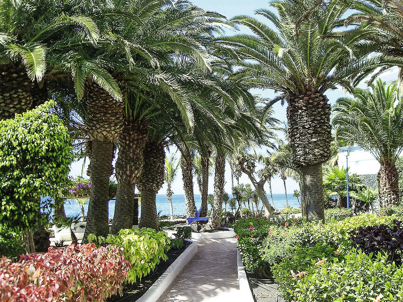 VIK Hotel San Antonio 5