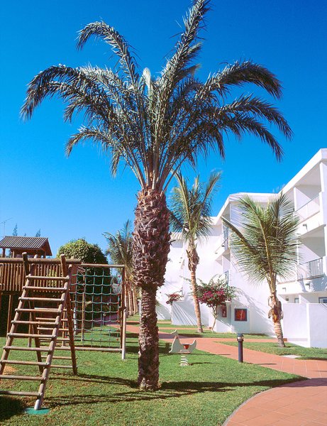 Fariones Appartements 30