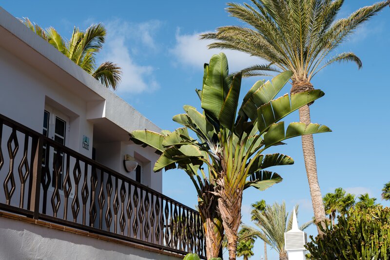 Plus Fariones Apartamentos 21