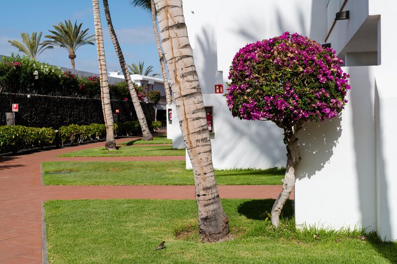 Plus Fariones Apartamentos 34