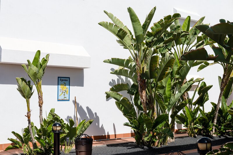 Plus Fariones Apartamentos 35