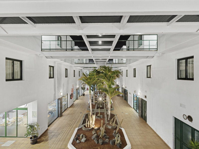THB Flora 10