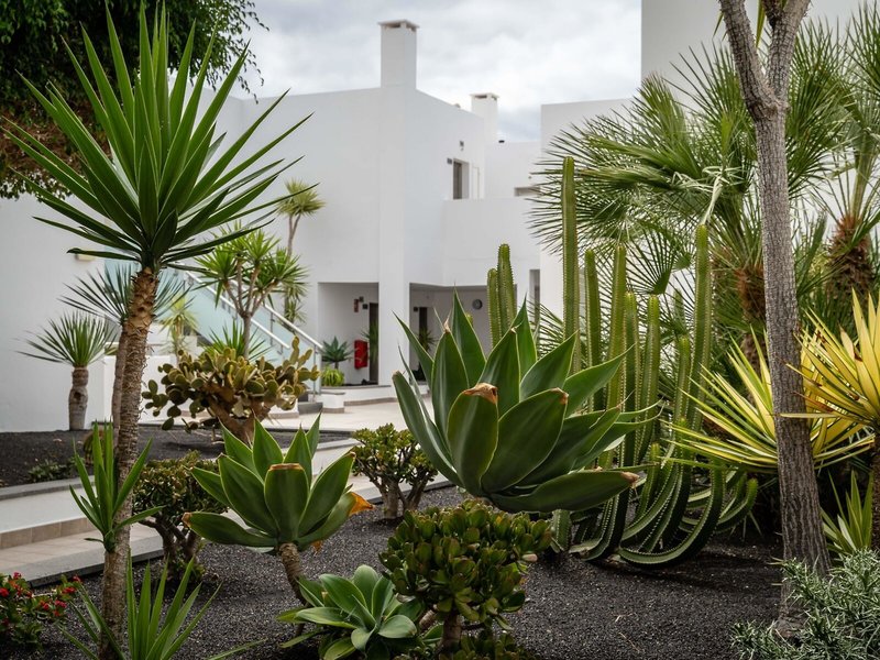 Lanzarote Village 6
