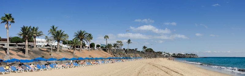 Ereza Apartamentos Los Hibiscos 5