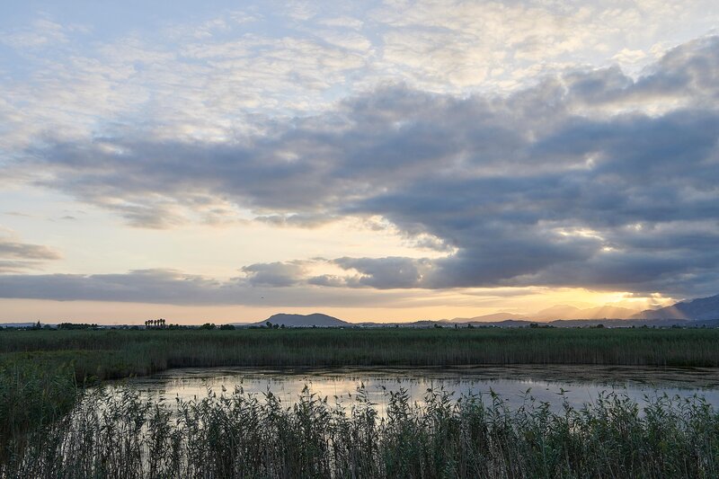 Iberostar Selection Albufera Park 79