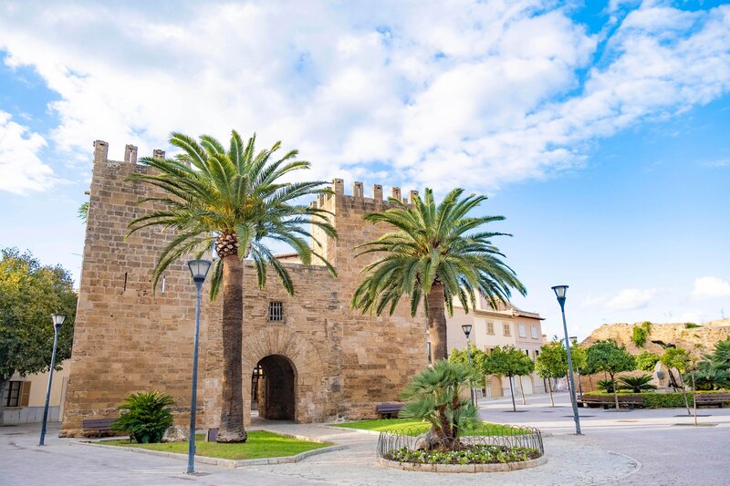 Eix Alcudia 6