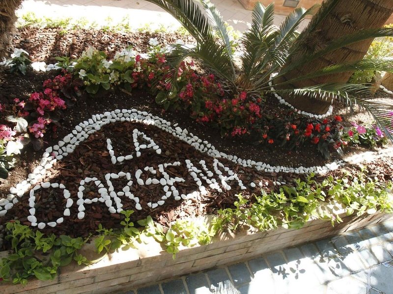 La Darsena 2