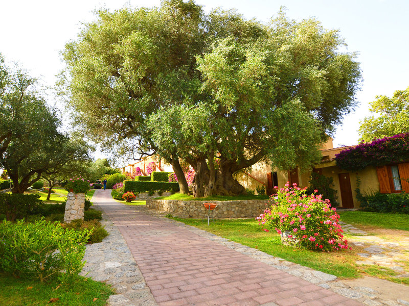 L'Olivara Villaggio 24