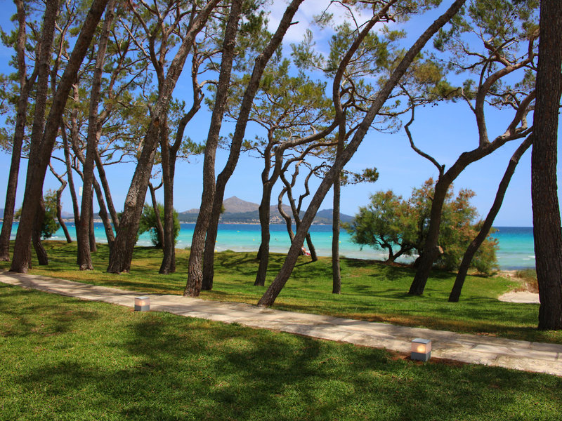 Iberostar Playa de Muro 2