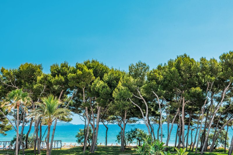 Iberostar Waves Playa de Muro 5