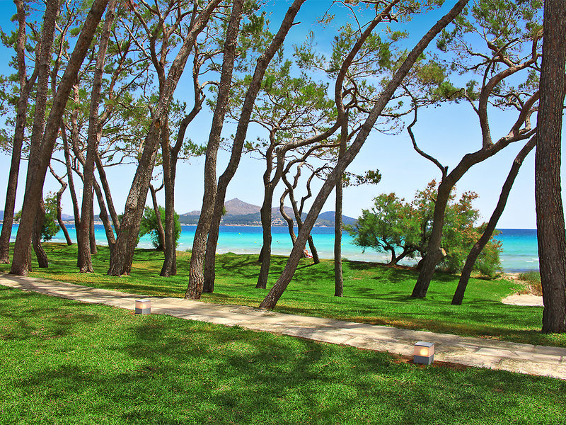 Iberostar Playa de Muro 18