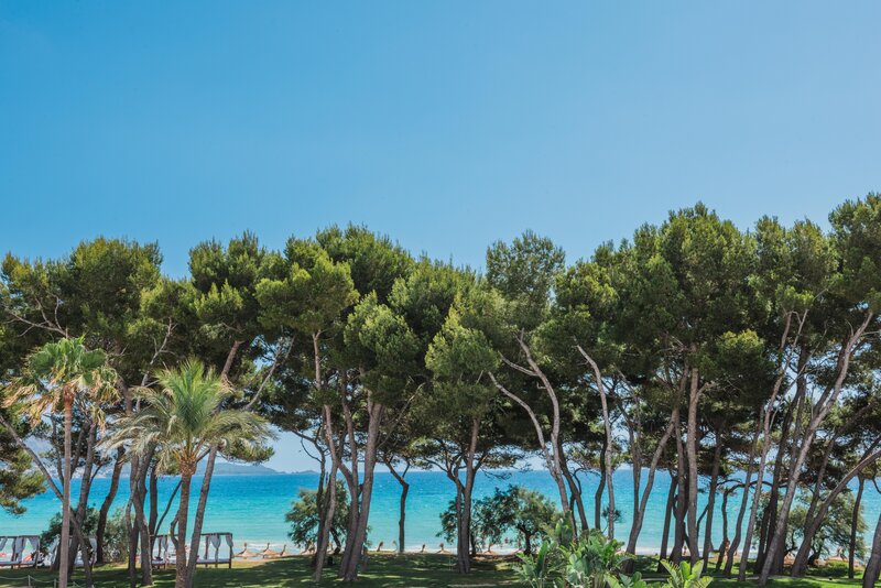 Iberostar Waves Playa de Muro 26