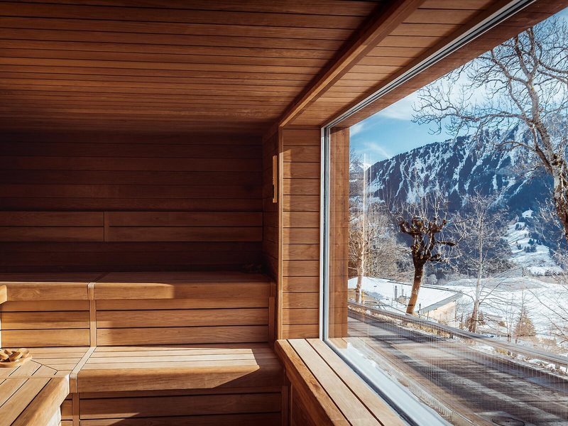 Central Residence Leysin 23