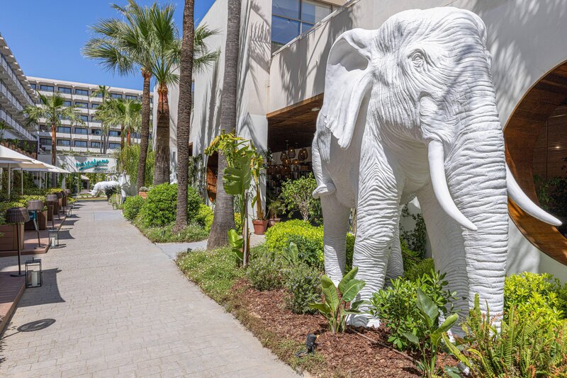 INNSiDE Alcudia 109