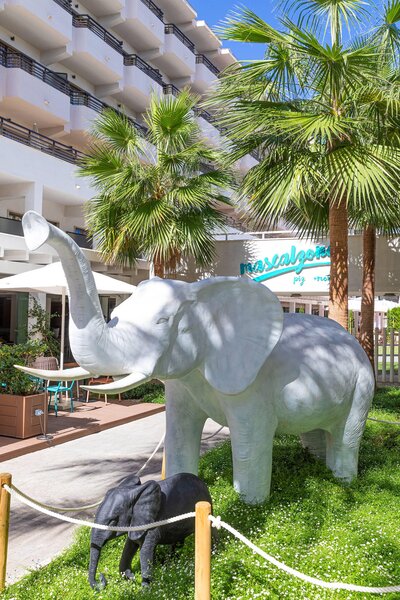 INNSiDE Alcudia 130