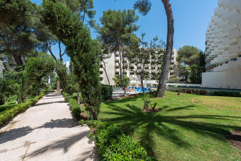 Best Delta 40