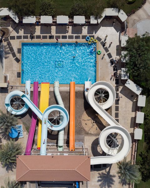 Desert Rose Resort 110