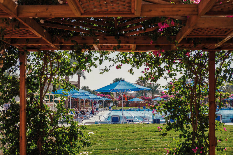 Desert Rose Resort 6