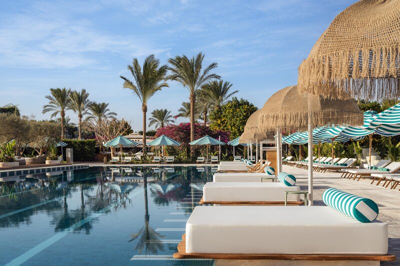 Desert Rose 41