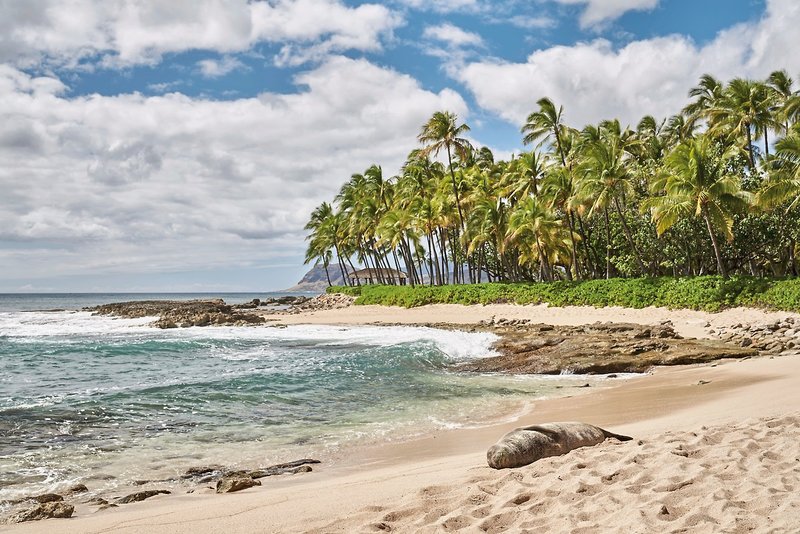 Four Seasons Resort Oahu at Ko Olina 10