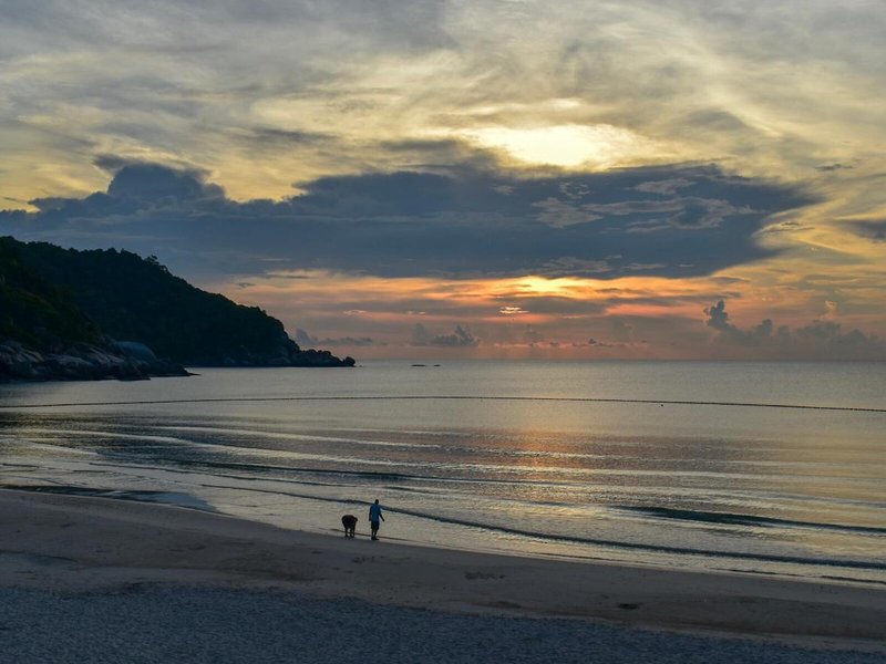 Phangan Bayshore Resort 17