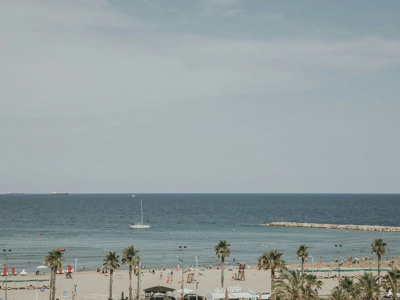 Palas Pineda 7