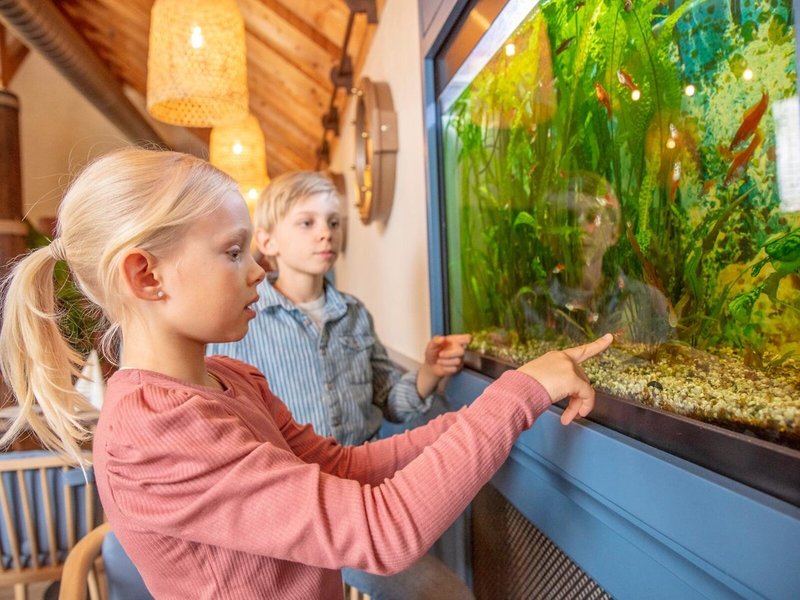 Dorfhotel Fleesensee 13