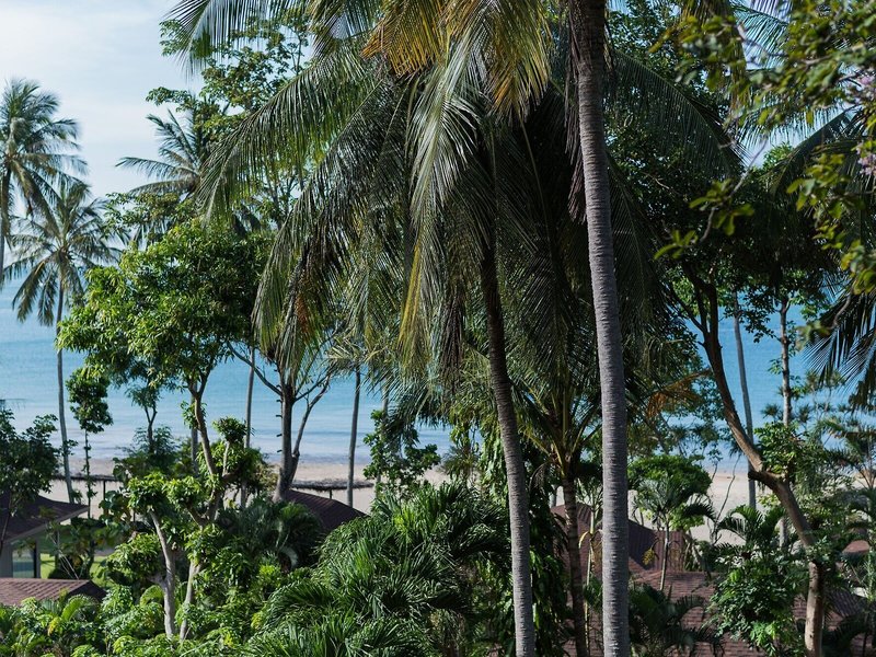 Anda Lanta Resort 10