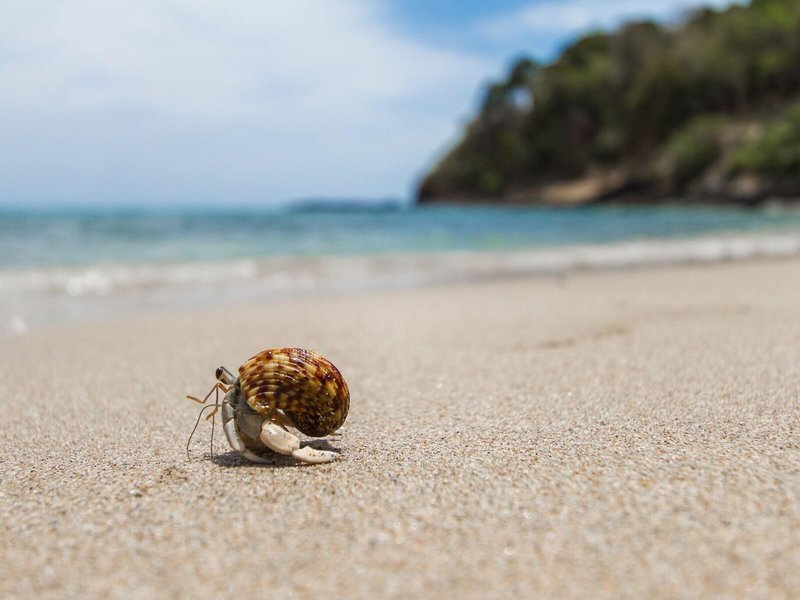 Anda Lanta Resort 17