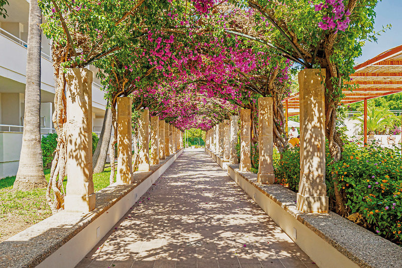 Hotel Intelier Rosella 18