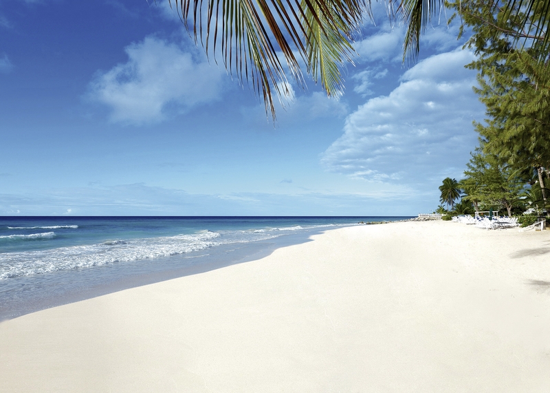 Turtle Beach, a Tribute Portfolio All-Inclusive Hotel 18