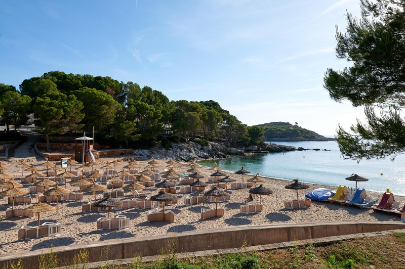 AluaSoul Carolina 29