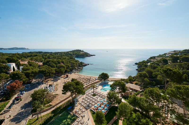 AluaSoul Carolina 42