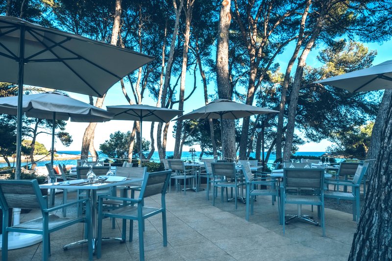 Iberostar Waves Pinos Park 28