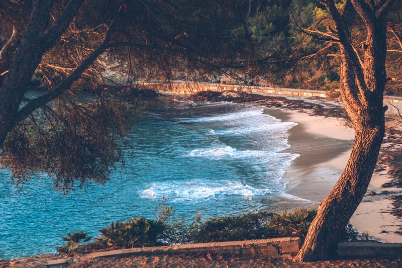 Iberostar Waves Pinos Park 44