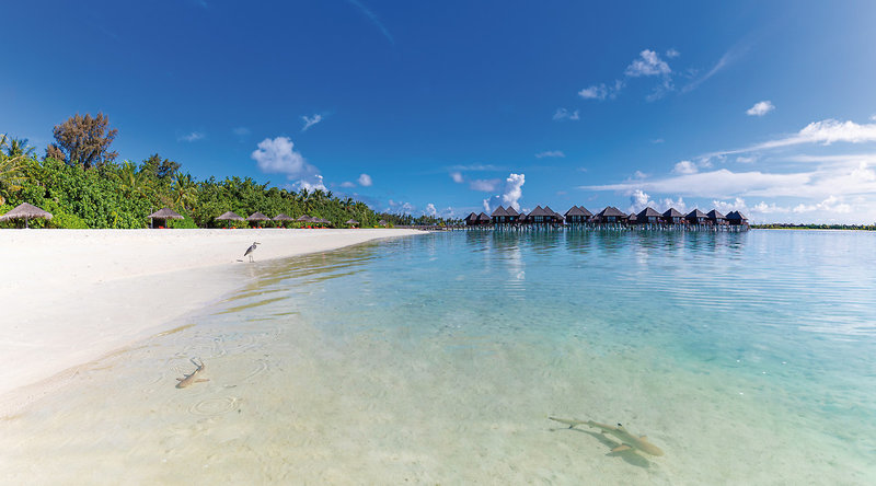 Sun Siyam Olhuveli 3