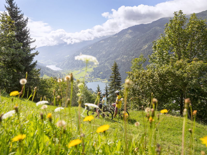 Thermenhotel Ronacher 41