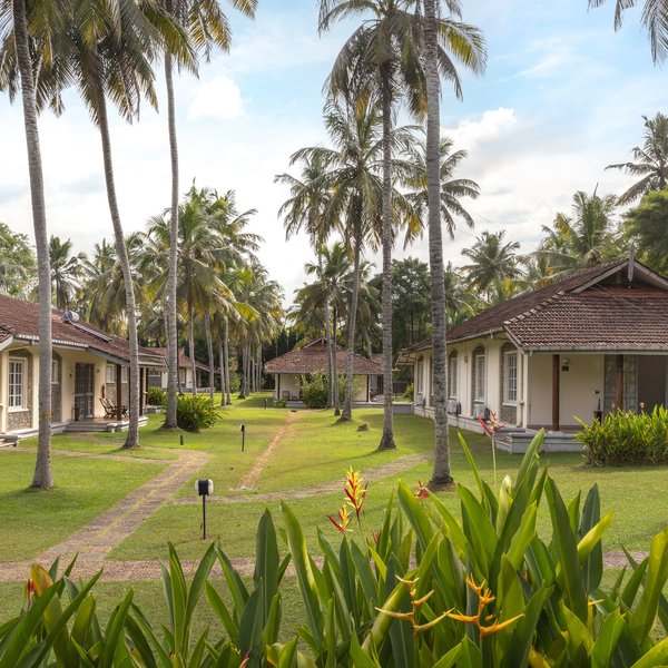 Tamarind Tree Garden Resort 6