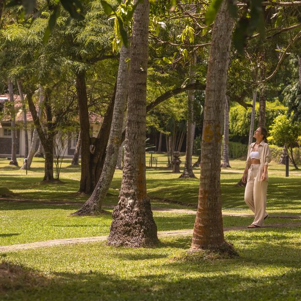 Tamarind Tree Garden Resort 9