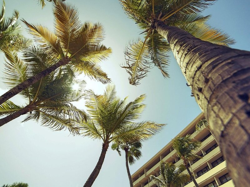 Barcelo Aruba 4
