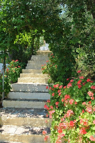 Helios Splendid Boukari 1