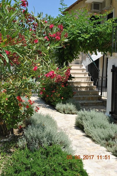 Helios Splendid Boukari 2