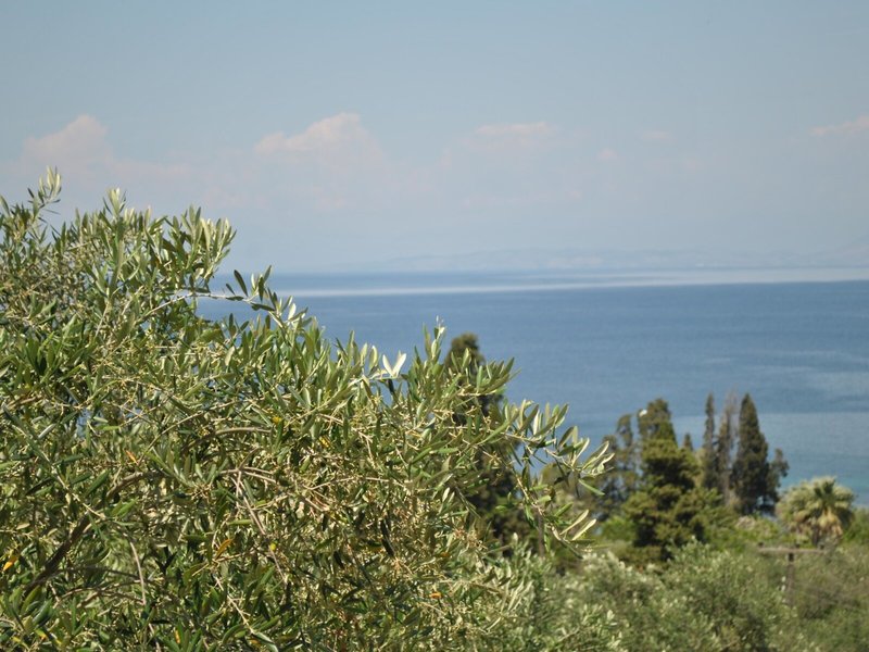 Helios Splendid Boukari 27