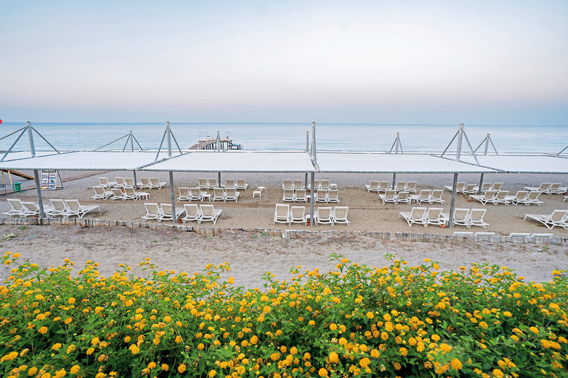 Master Family Club Side  16