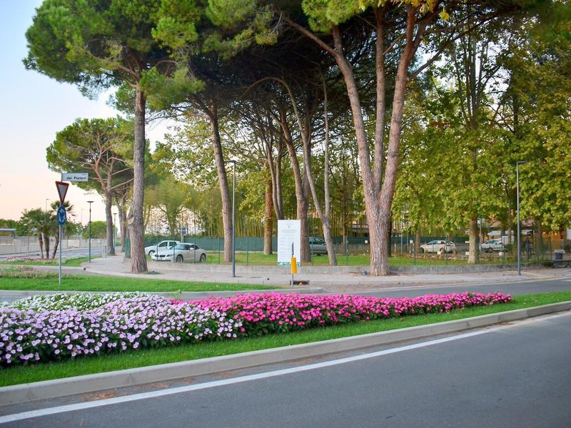 Albergo Etna 9 - Landscape
