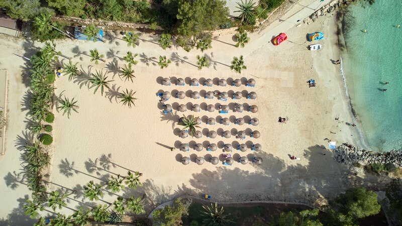 Occidental Cala Vinas 16