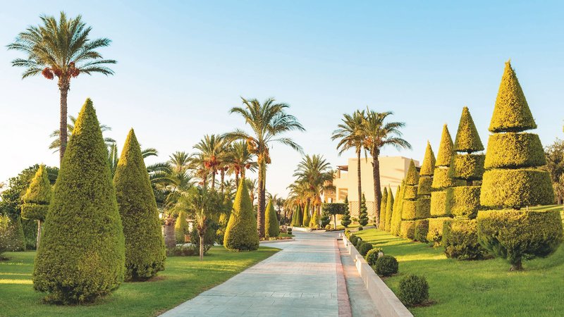 Horizon Beach Resort 9