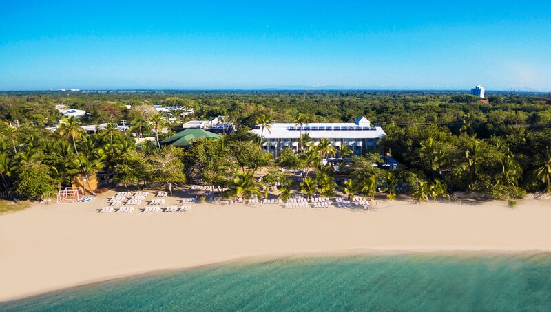 Emotions by Hodelpa Juan Dolio 125