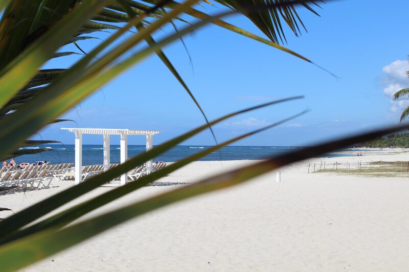 Emotions by Hodelpa Juan Dolio 149