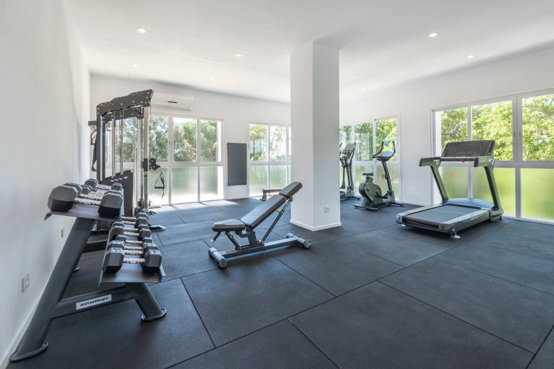 HSM Canarios Park 12